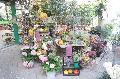 Herbst Genusswochen locken wieder auf den Pflanzenhof Sch�rg in Wissen