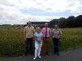 Solarpark an der B8 bei Wlferlingen geplant