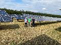 Sonne strahlt fr Grgeshausen: Solarpark feiert 10-jhriges Bestehen