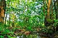Naturschutzinitiative ldt zur Exkursion in Waldwildnis des Nationalen Naturerbes Stegskopf ein