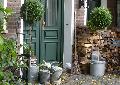 Herbstzauber im Shabby Chic in der Sternschnuppe home&garden