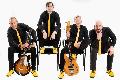 Klappstuhl-Konzert mit The BEAT!radicals in Bellingen: Beatmusik am Sportplatz