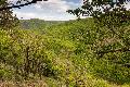 Naturschutzinitiative kritisiert Raumordnungsplan Mittelrhein-Westerwald