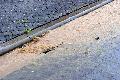 Westerwaldwetter: Erst warm, dann steigende Unwettergefahr