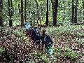 Waldferien voll Abenteuer und Naturerlebnisse im Stadtwald in Montabaur