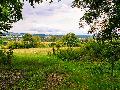 Raiffeisen-Panoramaweg Fluterschen: Wandern mit Weitblick ins Raiffeisenland
