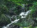 Geheimtipp Laubacher Wasserfall bei Rengsdorf: Naturschauspiel im Laubachtal