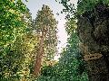 Frstenweg Neuwied: Wandern auf den Spuren der Geschichte und Natur