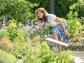 Heilkr�uter erleben: Traditionelle Kr�uterwanderung in Bad Marienberg