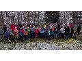 Advent im Wald: Eine tierische Weihnachtsfeier mit der NAJU