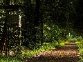 Neuhusel: Auf Spurensuche mit der Becherlupe beim Familienwaldspaziergang