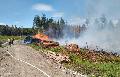 Waldbrand in Hasselbach: Spaziergnger als Zeugen gesucht