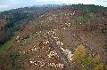 Drohnenbilder zeigen Ausmaß des Waldsterbens