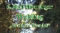 6. Bad Hnninger Waldtag - Wald im Wandel 