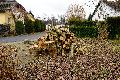 Ortsbildprägender Walnussbaum in Quirnbach einfach gefällt - Grund?