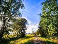 Betzdorf: Begleitete Trauerwanderung am 16. Juni