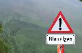 Blau- und Grnalgen belasten auch Gewsser im Westerwald