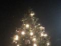 Weihnachtsbaumschmücken in Michelbach wird zur Tradition