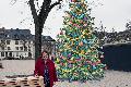 Weihnachtsbaum f�r den Marktplatz: Ein Wunsch