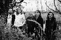 Wenzel gastiert am 17. August mit seiner Band in Hachenburg