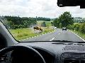Der ACV-Check: Richtig reagieren bei Wespen im Auto - von der Fahrsicherheit bis zum Versicherungsschutz