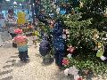 Leuchtende Kinderaugen beim Weihnachtsbaumschmcken in Wissen