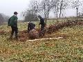 Hasselbacher Skulpturenlandschaft Im Tal: Pflanzaktion als Antwort aufs Fichtensterben
