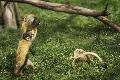 Zoff im Zoo