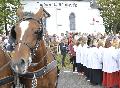 130 Pferde bei der traditionellen Pferdesegnung in Salz