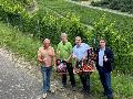 Genussreiche Premiere: "Apfel and friends" startet in Leutesdorf
