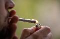 Gewerkschaft der Polizei zieht kritisches Fazit zur Cannabis-Legalisierung