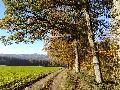 Auenlandweg im Wisserland: Nominiert für "Deutschlands schönsten Wanderweg"