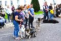 �ber 100 Tiere feierten traditionellen Segnungsgottesdienst im Kloster Marienstatt
