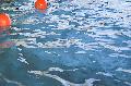 Erffnungsfest im Freibad Urbach mit vielen Aktivitten