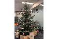 Kindergrten schmckten die Volksbank Daaden eG in der Vorweihnachtszeit