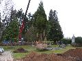Vielbach erweitert Baumbestattung auf dem Friedhof