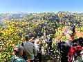 Westerwald-Verein Buchfinkenland ldt ein: Viele Wanderungen und Naturerkundungen sind geplant 