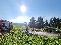 Bodenfeuer in Friedewald: Feuerwehr lschte und appelliert nun an Brger
