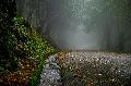 Mildes Herbstwetter mit Regen in Rheinland-Pfalz erwartet