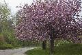 Westerwaldwetter: Noch typisch fr den April