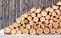 Brennholz wird in Zeiten der Energieknappheit immer beliebter