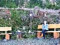 Struthof: Neue Bänke laden an beliebtem Wanderweg zum Verweilen ein
