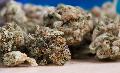 "Cannabis - eine harmlose Droge?" - Kostenfreie Infoveranstaltung in Wissen        
