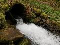 Braunkohle trifft Basalt: Naturerlebnis rund um Hhn
