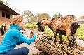 Tierische Erlebnisse im Westerwald: Natur hautnah erleben