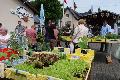 Limbacher Krutermarkt lockt mit regionalen Schtzen