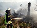 Kreisfeuerwehrverband warnt vor hoher Waldbrandgefahr bei Hitze