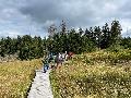 Montabaur macht Ernst: 20 Prozent des Stadtwalds werden Naturwald