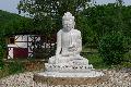 Klostergespr�che in Pracht: Buddhistische Lehren im Alltag erfahren