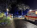 Schwerer Unfall auf B54: Fahrerin prallt in Emmerichenhain gegen Baum